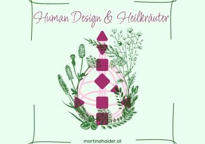 Human Design Heilkräuter Martina Haider Blog
